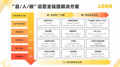 软件运营服务公司产品介绍ppt模板