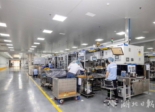 世界500强采埃孚五年三度追投，武汉成其软件战略布局核心